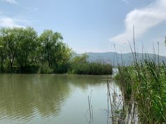 -长兴太湖图影湿地文化园