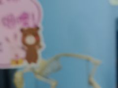 -半岛宠物医院24小时(白果林店)