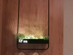 -新紫霞养生·影院足道·SPA(金山区店)