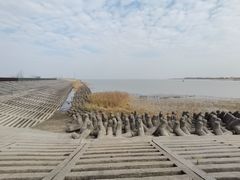 -江滩湿地公园