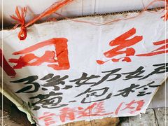 -孙奶奶葱包桧