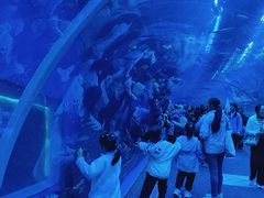 -成都浩海立方海洋公园