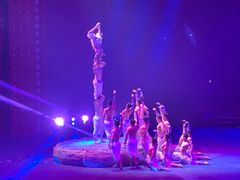 -珠海横琴长隆《卡卡虎奇遇记》