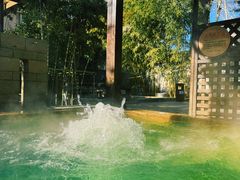 -春晖园度假酒店温泉