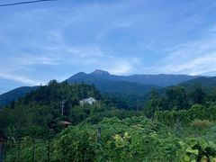 -梁野山景区
