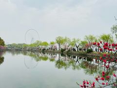-无锡蠡湖国家湿地公园-蠡园