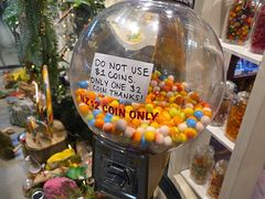 -皇后镇绝妙糖果店(皇后镇店)