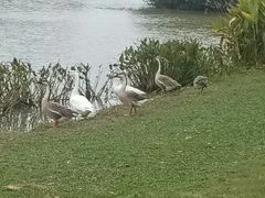 -艾溪湖湿地公园