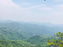 -内乡宝天曼生态旅游区