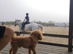 -松声马术俱乐部