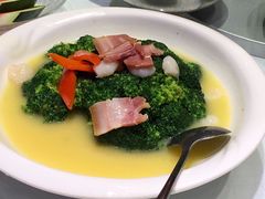 -沪碟·精菜坊(闵行店)