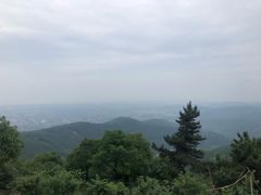 -雨花胜境