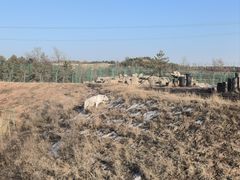 -鄂尔多斯野生动物园