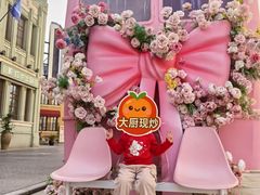 -阳澄湖半岛旅游度假区