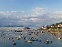 -枸杞岛