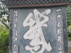 -靖西鹅泉风景区
