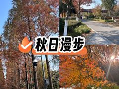 -昆山城市生态森林公园
