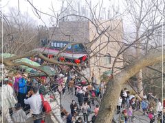 -紫金山山顶公园