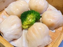 -若爱猪肚鸡·啫啫煲(循礼门M+店)