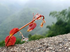 -Wagas沃歌斯(大学路店)