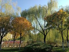 -南翠屏公园