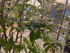 -阿伟海鲜楼·福建菜(涵江店)
