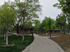 -东升文体公园