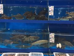 -果蔬好生活超市(乐堤港店)