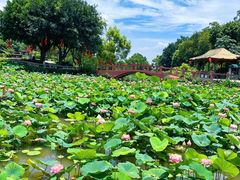 -广州莲花山旅游区