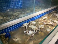 -清水湾足道馆