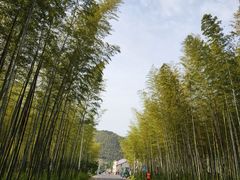 -紫藤园·天目湖大鱼头(南山竹海店)