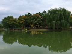 -白塘生态植物园