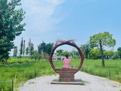 -嘉北郊野公园