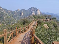 -大岭沟猕猴桃谷风景区