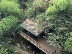 -莫干山风景区
