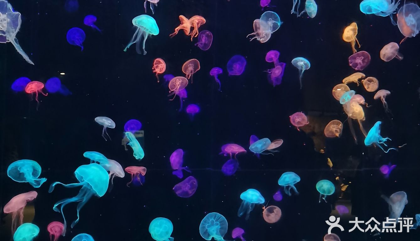 珠海长隆海洋王国