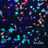 珠海长隆海洋王国
