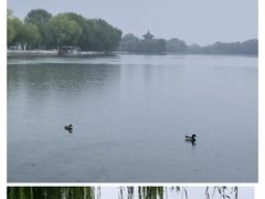 -后海公园
