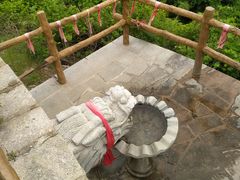 -金龙寺国家森林公园
