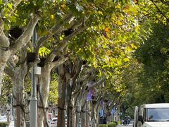 -顺峰顺水顺德菜(龙华店)