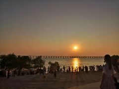 -宝安西湾红树林湿地公园