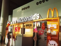 -鄂尔多斯伊金霍洛国际机场