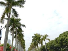 -厦门大学(思明校区)