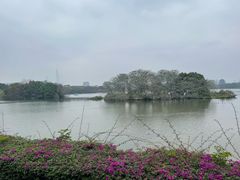 -海珠湖公园