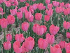 -廊坊文化艺术中心