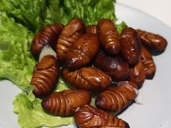 -鸽子窝(宋庄店)