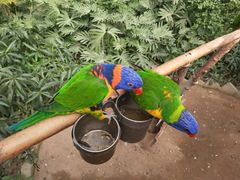 -南宫五洲植物乐园