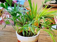 -邓丽君音乐主题餐厅