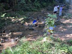 -火炉山森林公园