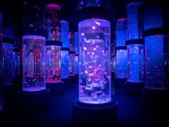 -石林冰雪海洋世界